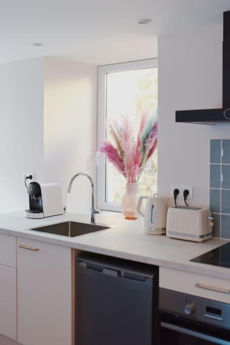 Appartement Aquaroom Rdc - Plage 50M - Rue Gratuite Saint-Malo Extérieur photo